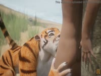 Animal xxx tiger sucking a man's cock on the beach